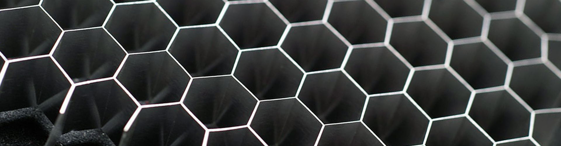 GA黄金甲集团（LSI）