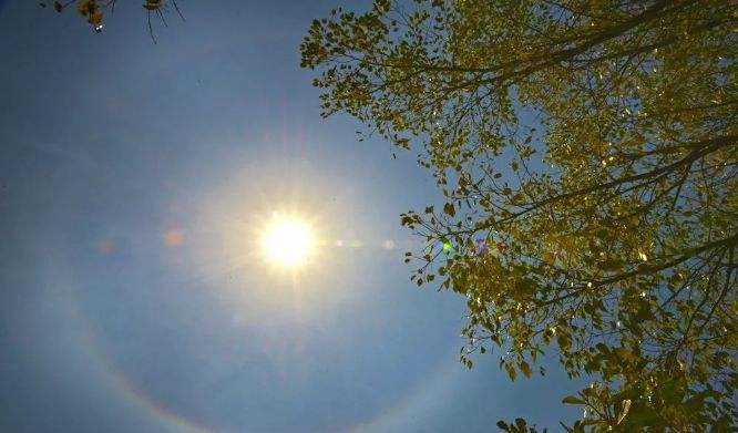 GA黄金甲·(中国集团)官方网站